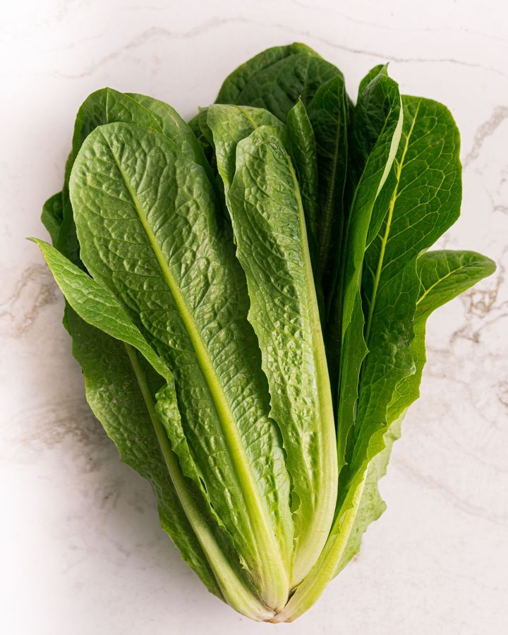 Romaine lettuce